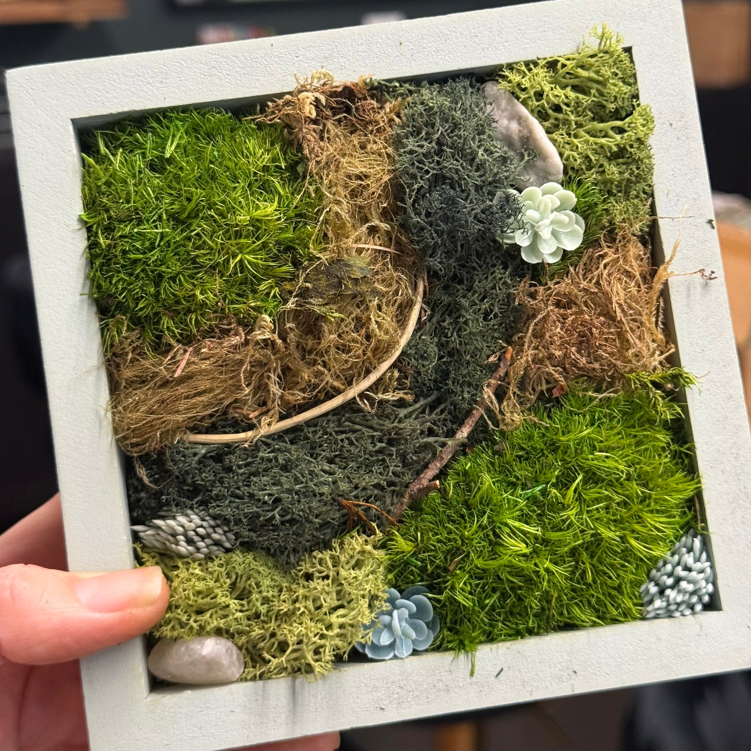 Botanical Moss Art LAB Experience